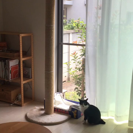 途中下車の記事動画