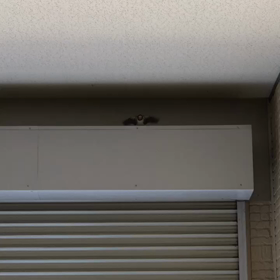 絆の画像