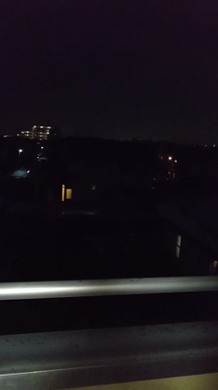 花火の記事動画