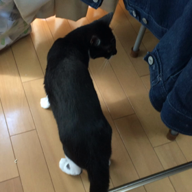 なんの画像