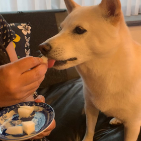梨の画像
