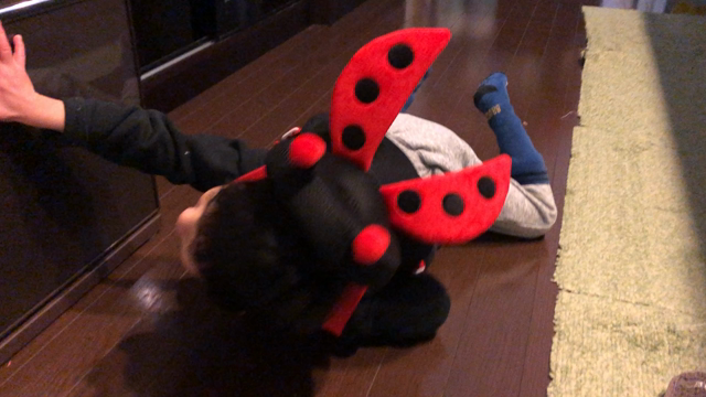 近況報告の記事動画