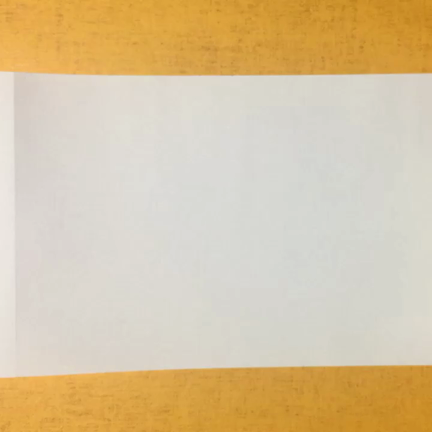 パラパラマンガに出演してみたの記事動画