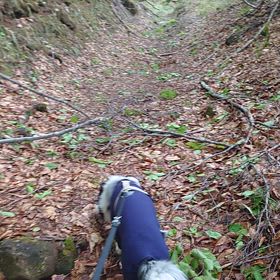 月山キャンプＰＡＲＴ②　初日の画像