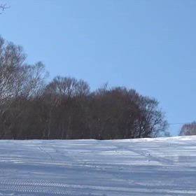 動画！！最高の条件続いてますの画像