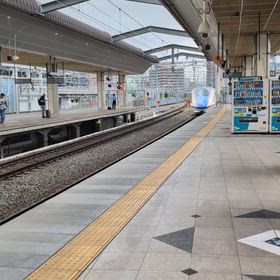 お江戸へ…の画像