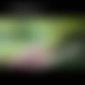 e-bikeツアー動画の画像