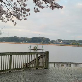 2023/03/30の画像