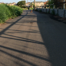 Come!の画像