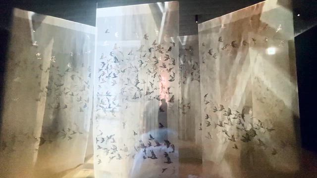 ★【後編】シャネル展示会　圧巻の作品オンパレードの記事動画