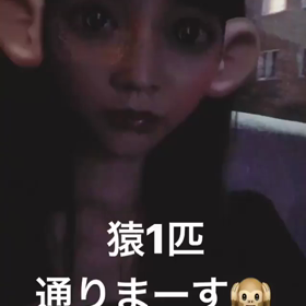 あーさんストーリー動画の画像