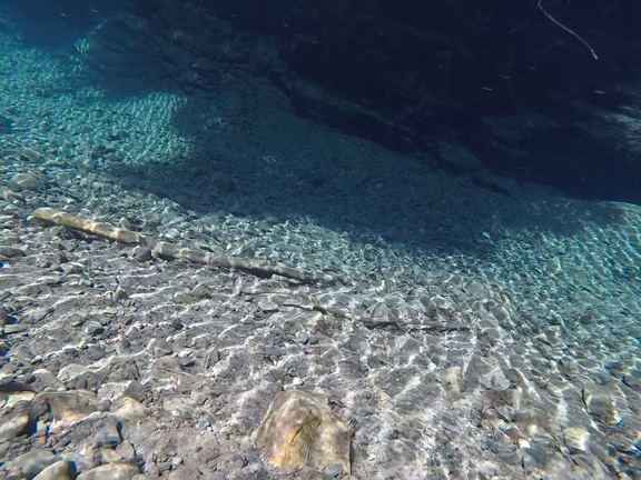 綺麗な水で水中映像の記事動画