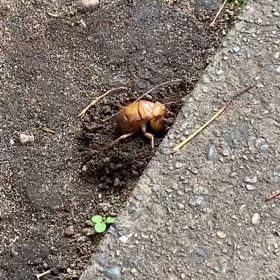 サーフィン練習の画像
