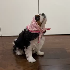 お便りいただきました♪の画像