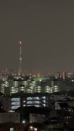 何てこった。の記事動画