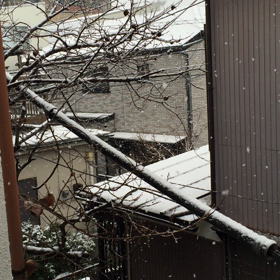 今日は、東京に雪が降ってる。！！の画像