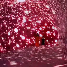 パド・メディアの画像