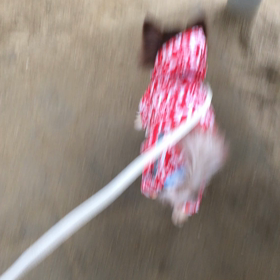 ☆音 聞こえましたか？☆の画像