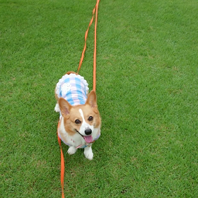 雨の止み間にの画像