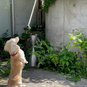 もな子が突然、目覚めた任務　の画像