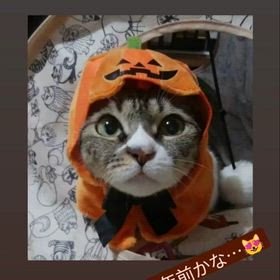 2025/10/30の画像