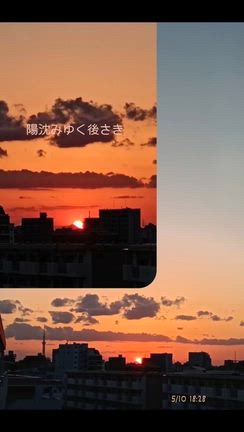 2026/05/12の記事動画