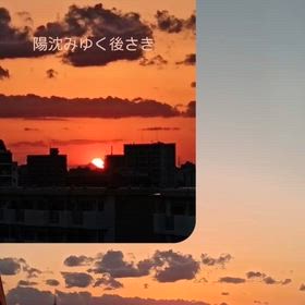 2026/05/12の画像