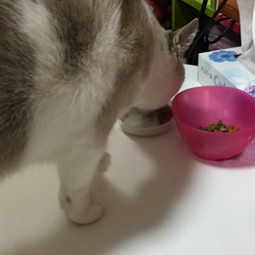 今日はいい音の日の画像