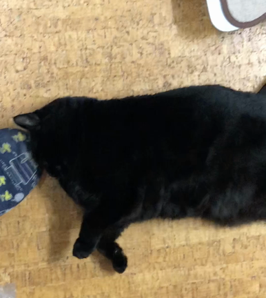 書こうか迷ったけど・・・の記事動画