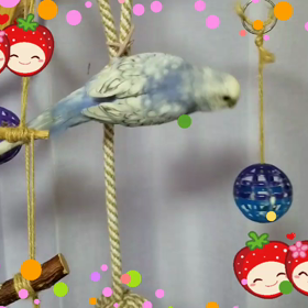 1/20今日のひとコマn[◎]ｺω・｀） ●RECの画像