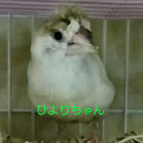 お迎えしました…(*^_^*)の画像