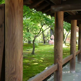 東福寺の画像