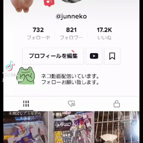 TikTokやってます(￣□￣;)!!の画像