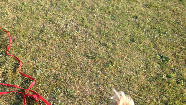 ポカポカ♪の記事動画