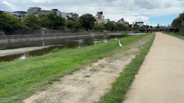 目指せ‼️YouTu婆〜の記事動画