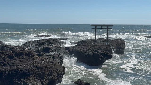 買った物とかの記事動画