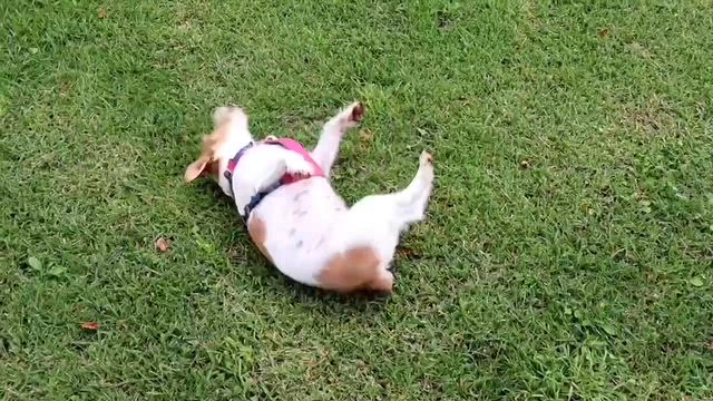壁と…。の記事動画