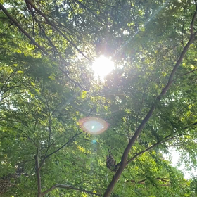 光の祝福の画像