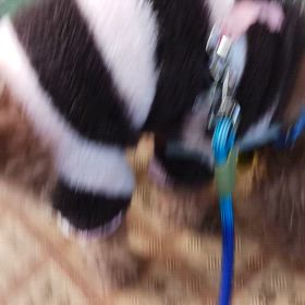 2025/02/21の画像