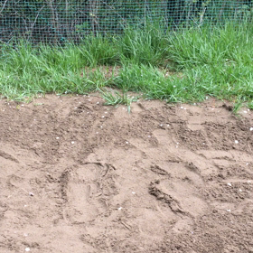 備忘録！バンカー片手打ちの画像