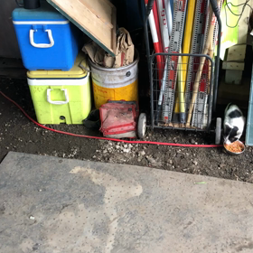 猫ちゃん保護の画像