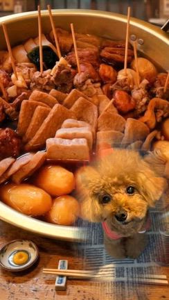 トイプードルHappy昨日の夜ご飯は具沢山おそばだったよの巻の記事動画