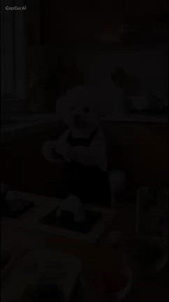 感謝、ご心配をおかけし　ごめんなさいm(_ _)mの記事動画