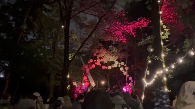 フジロック3日目2026.7.26の記事動画