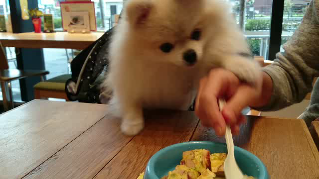 ２歳のバースデーイヴ ♪の記事動画