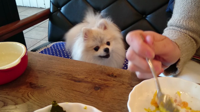 待ちきれないッ！の記事動画