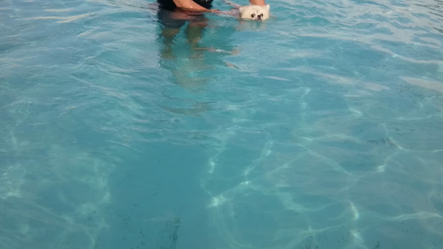 ひと夏の経験♪の記事動画