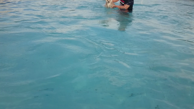 ひと夏の経験♪の記事動画