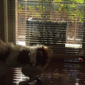 心の準備の画像