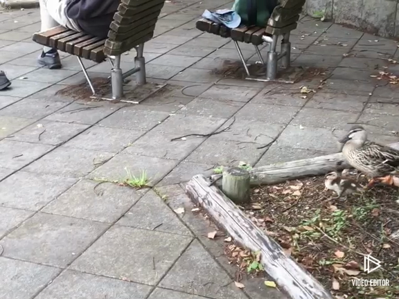 1年を振り返って……たくさんのカワイイ出会いがありましたの記事動画